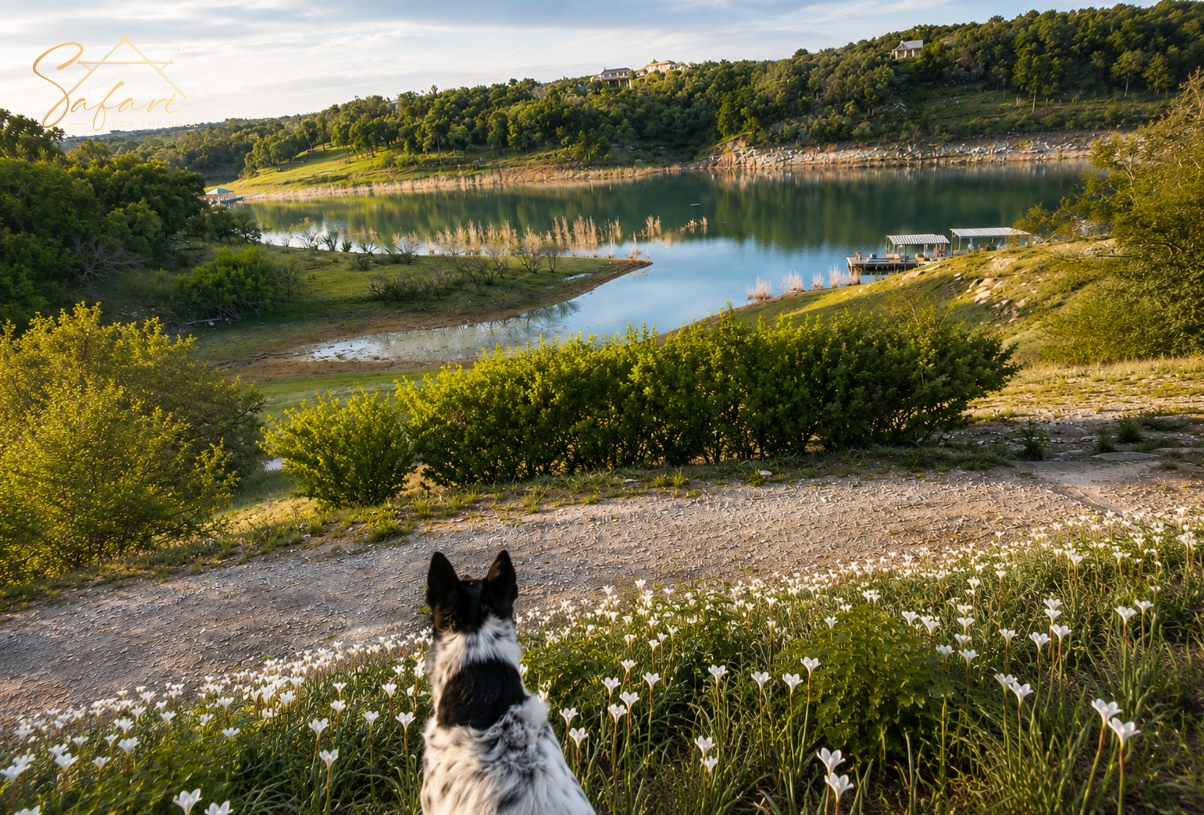 Scenic lakeside nature view near Tentation Yurt in Spicewood Texas with peaceful Hill Country landscape