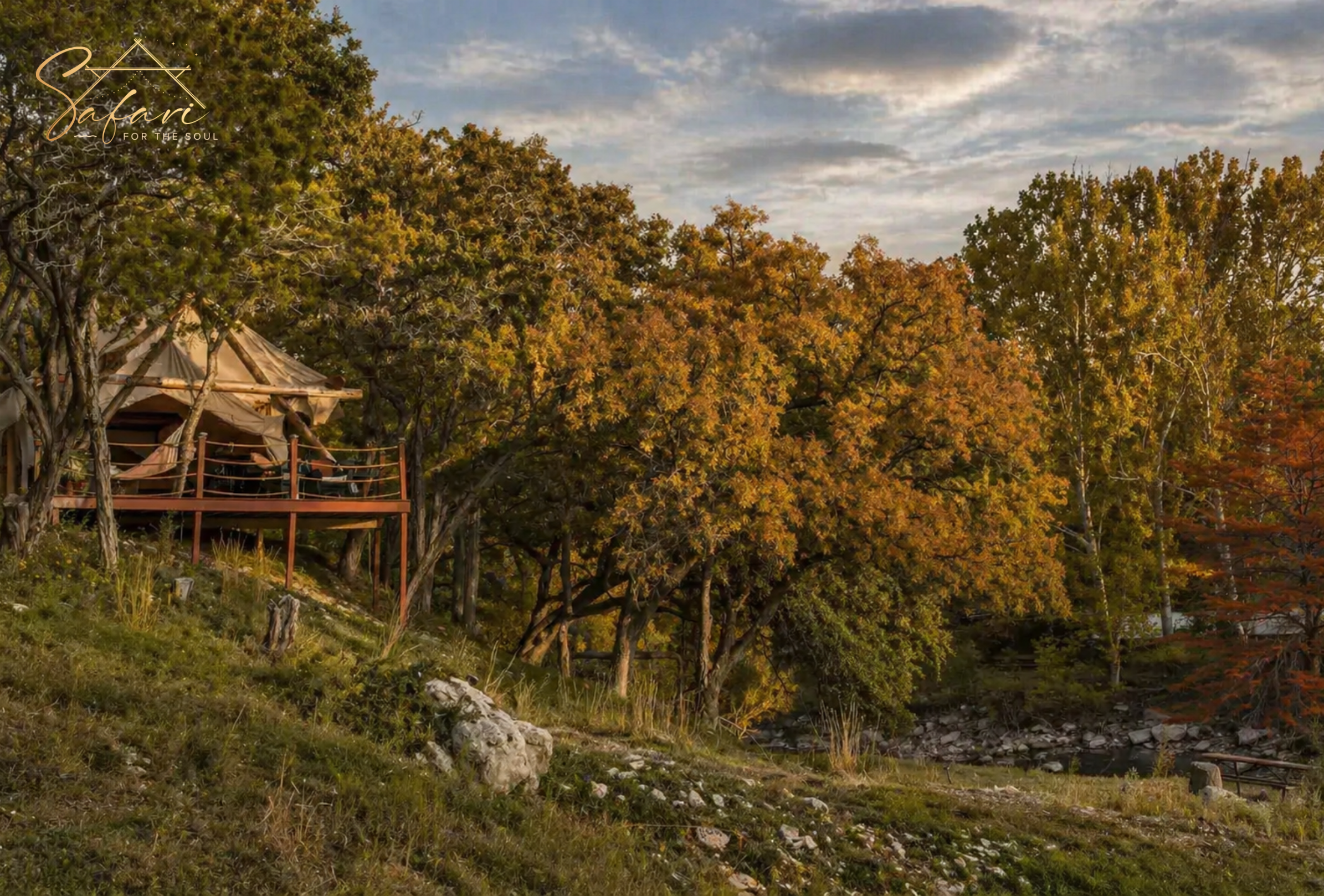Luxury safari tent on elevated deck surrounded by trees in Spicewood Texas glamping retreat